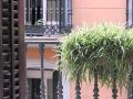 hostal-la-zona