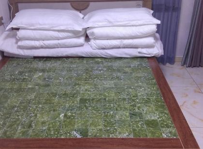 胡淑玲公寓(吳吳線分店)