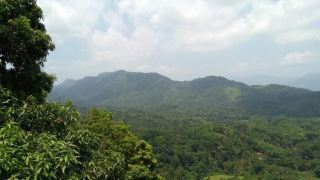 green-tulip-hotel-pahala-kadugannawa