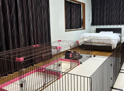 Guest House Goro Shura Separate Fee for Small p