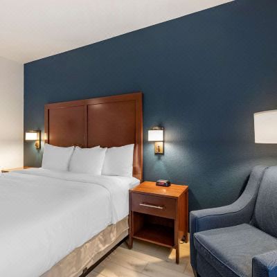 Standard King Room-Non-Smoking Standard King Room-Non-Smoking Comfort Suites Promo Code