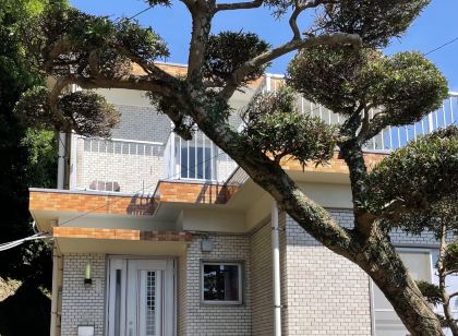 海神の宿1981【ペット(愛犬)可!】