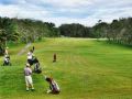 harvard-suasana-hotel