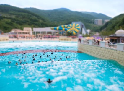 하이원콘도 힐콘도