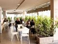 stelle-hotel-the-businest