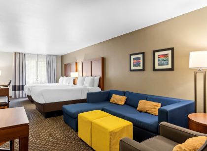 Comfort Inn & Suites Midtown