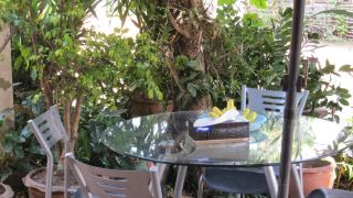 krachang-yai-guesthouse