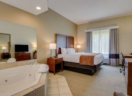 Comfort Inn & Suites Augusta Fort Eisenhower Area