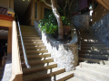 bougainvillea-terrace-house