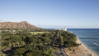 lotus-honolulu-at-diamond-head