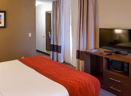 컴포트 인 & 스위트 템프 피닉스 스카이 하버 에어포트