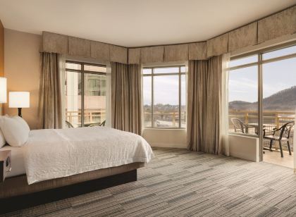 Hampton Inn & Suites Roanoke Downtown