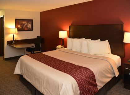 庫克維爾田納西科技中心紅頂飯店