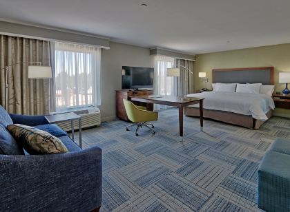 햄프턴 인 & 스위트 라스크루서스 I-10 Nm