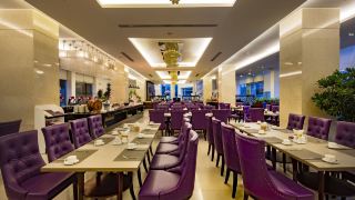ttc-hotel-michelia