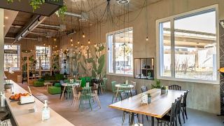 bandb-hotel-basel