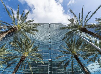 Brickell Arch, a Luxury Collection Hotel, Miami