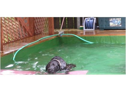 ペンション 南季の灯