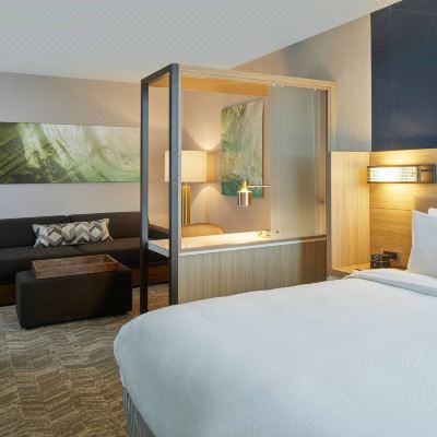 Suite, 1 King Bed, Trundle Sofa, Hearing Accessible, Mobility Accessible with Roll-in Shower Suite, 1 King Bed, Trundle Sofa, Hearing Accessible, Mobility Accessible with Roll-in Shower SpringHill Suites by Marriott Charlotte at Carowinds Promo Code