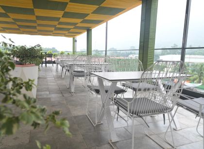 The Wave International