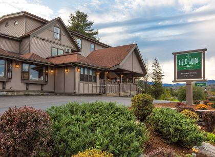 Field Guide Lodge