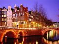 tulip-of-amsterdam