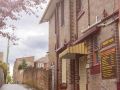 katoomba-mountain-lodge