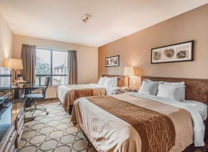Comfort Inn