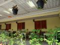 steve-boutique-hostel