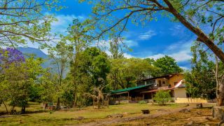jungle-hut