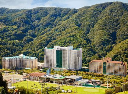 비발디파크