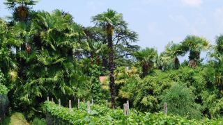 hotelandhostel-montarina