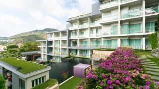 sugar-palm-grand-hillside