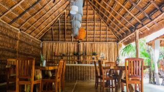 manglex-eco-hotel-tulum