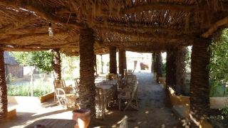 badry-sahara-camp