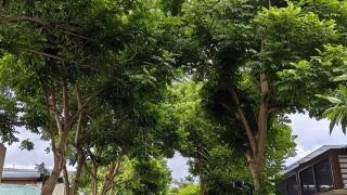 sanya-haitang-bay-sinuo-meisu-hotel-poly-haitang-bay-houhai-branch