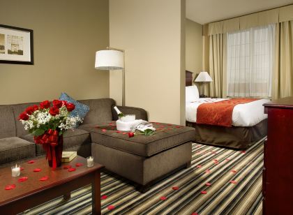 Comfort Suites Waco North - Near University Area
