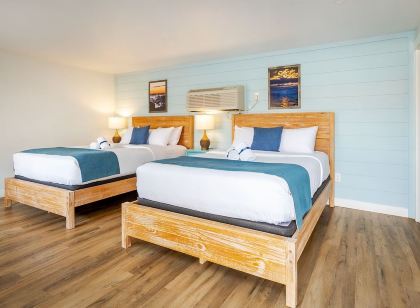 Surf House