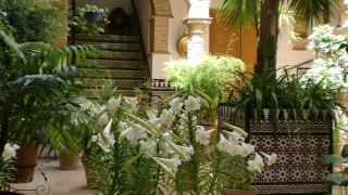 hostal-comercio