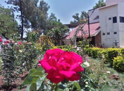 Skystays Sharmin Rose Cottage