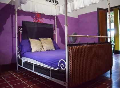 Mi Casita Zona 4