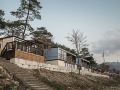 pine-tree-camping