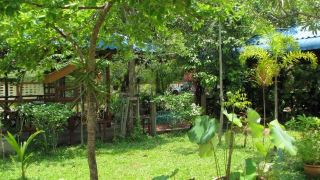 krabi-discovery-resort