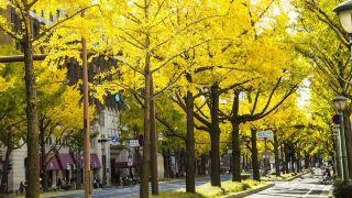 hotel-nikko-osaka