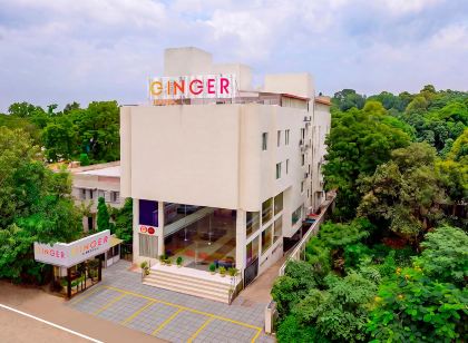 Ginger Bhavnagar
