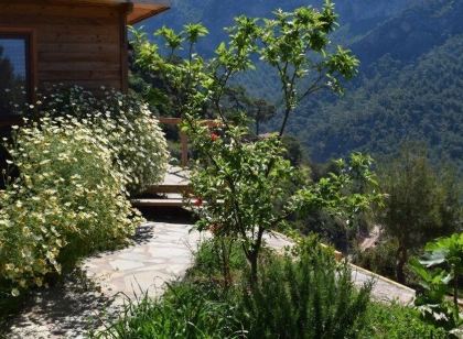 Kabak Avalon Bungalows