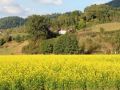 landgasthof-engel