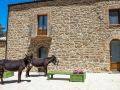 la-quercia-e-l-asino
