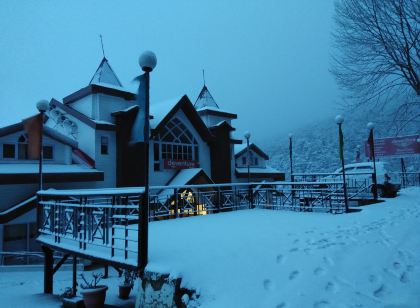 Deventure Hotel Chail