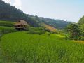 kowitfarmstay